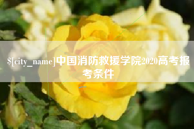 赣州中国消防救援学院2020高考报考条件