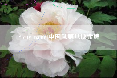 赣州中国队第八块金牌