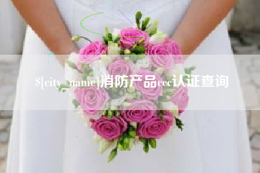 赣州消防产品ccc认证查询