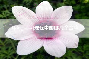赣州现在中国哪几个金牌