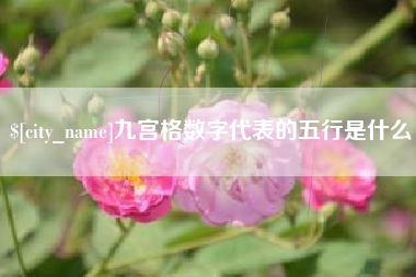 赣州九宫格数字代表的五行是什么