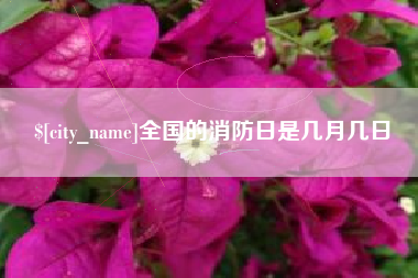 赣州全国的消防日是几月几日