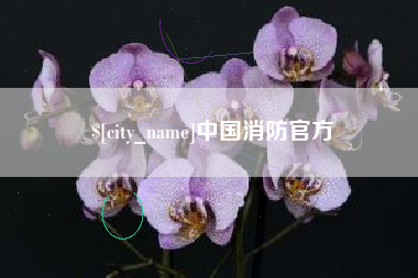 赣州中国消防官方