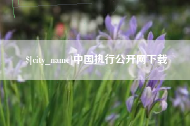 赣州中国执行公开网下载
