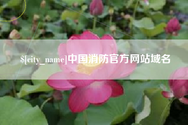 赣州中国消防官方网站域名