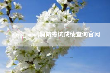 赣州消防考试成绩查询官网