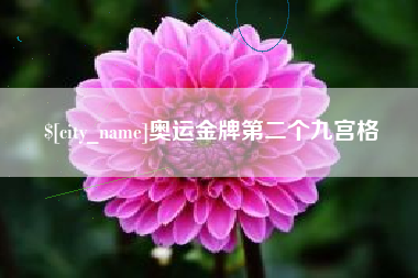赣州奥运金牌第二个九宫格