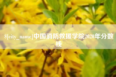 赣州中国消防救援学院2020年分数线