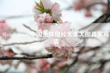 赣州中国金牌图片大全大图真实高清