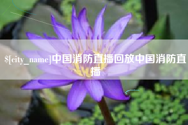 赣州中国消防直播回放中国消防直播