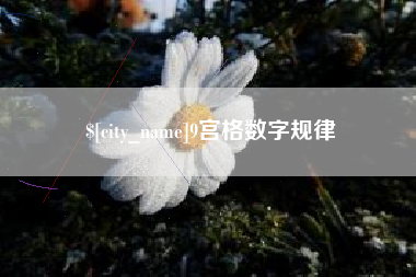 赣州9宫格数字规律