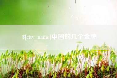 赣州中国的几个金牌