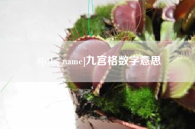 赣州九宫格数字意思