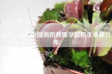赣州中国消防救援学院招生章程公布!