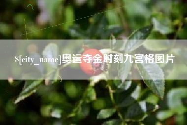 赣州奥运夺金时刻九宫格图片
