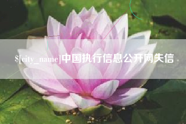 赣州中国执行信息公开网失信