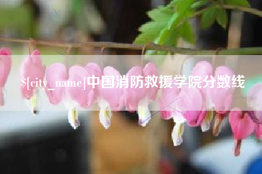 赣州中国消防救援学院分数线