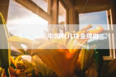 赣州中国有几块金牌啦