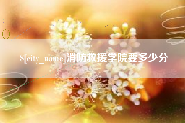 赣州消防救援学院要多少分