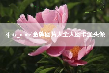 赣州金牌图片大全大图卡通头像