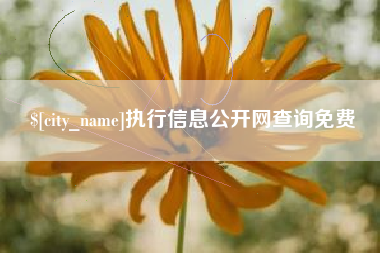 赣州执行信息公开网查询免费
