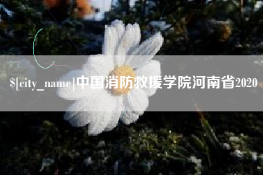 赣州中国消防救援学院河南省2020
